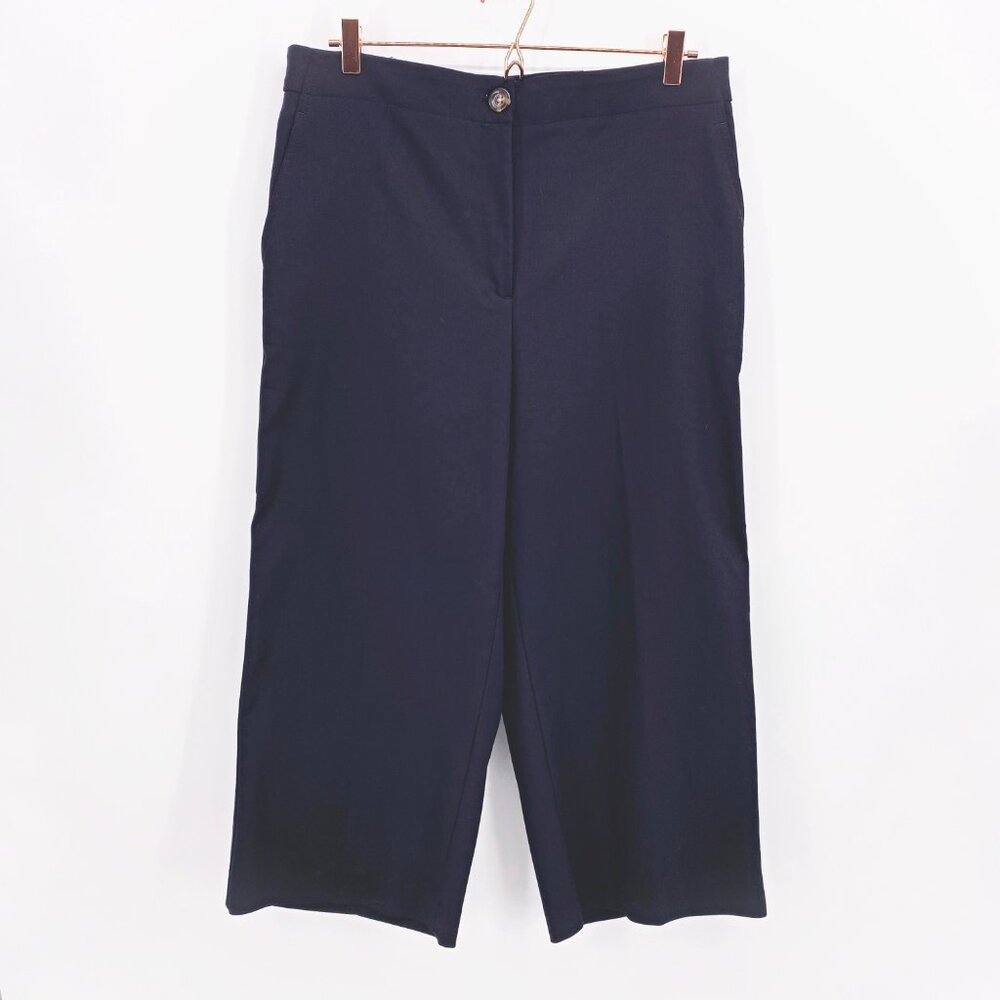 Ann Taylor The Wide Leg Crop in Curvy Petite